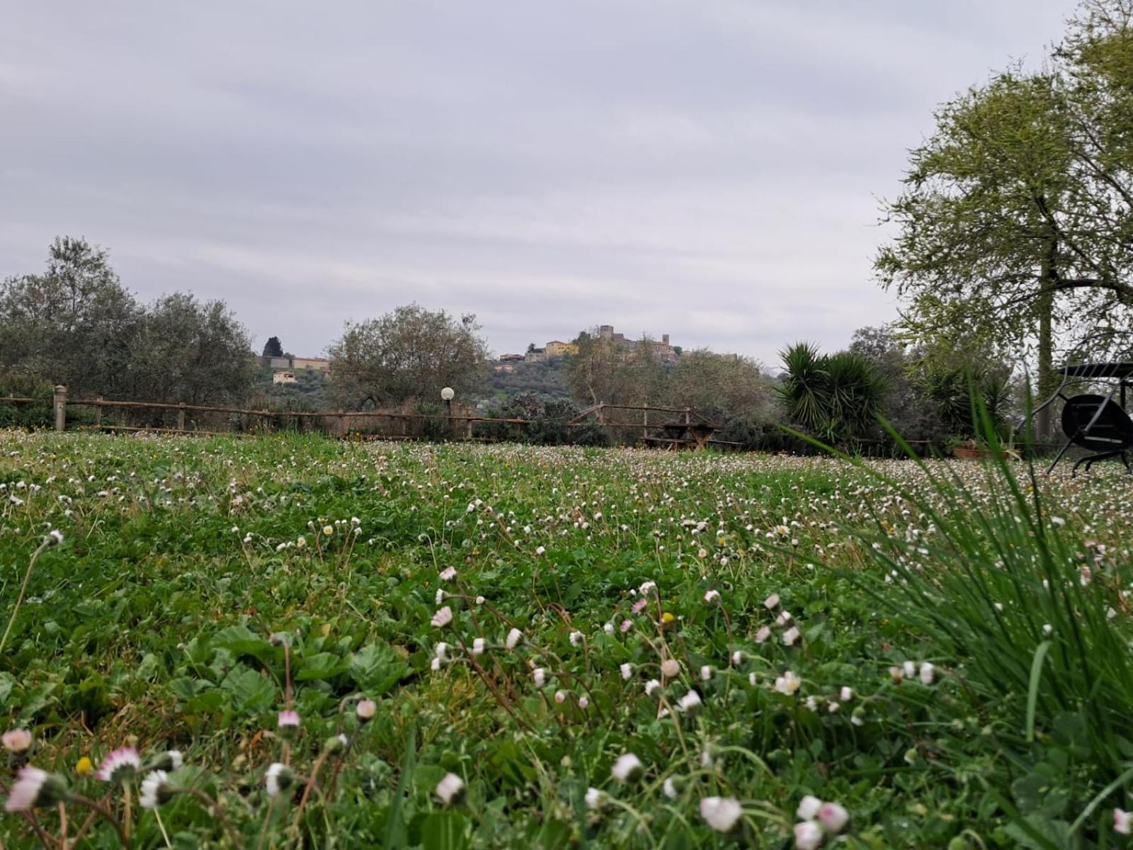 8380 Agriturismo Il Saragiolo 曼恰诺 外观 照片